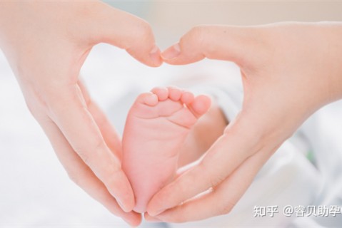 http://www.nbgk120.com/post/197.html|成都捐卵费用