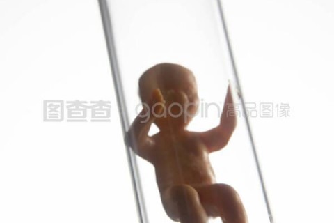 http://www.nbgk120.com/post/198.html|成都捐卵价格