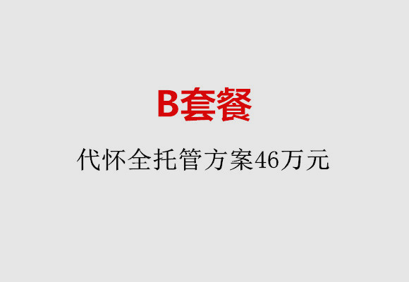 成都B套餐：代怀全托管方案46万元